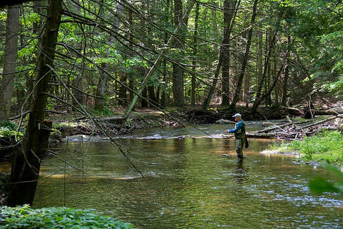 Maryland’s Nontidal Fishing License Fees Increase June 1