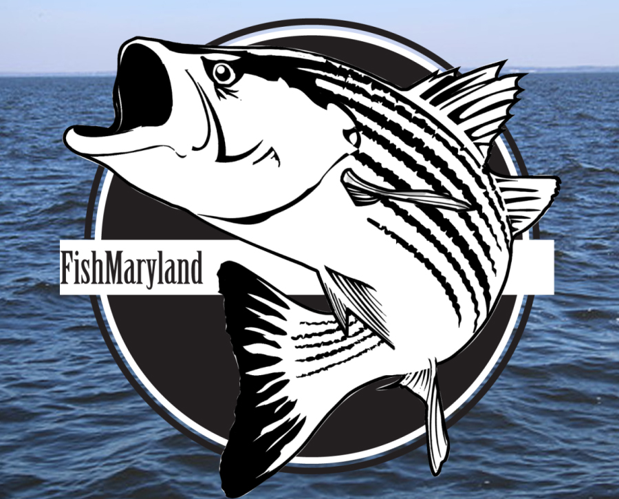 Maryland DNR Recognizes Two New FishMaryland Master Anglers