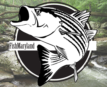 DNR Recognizes Two Anglers with FishMaryland Master Angler Awards