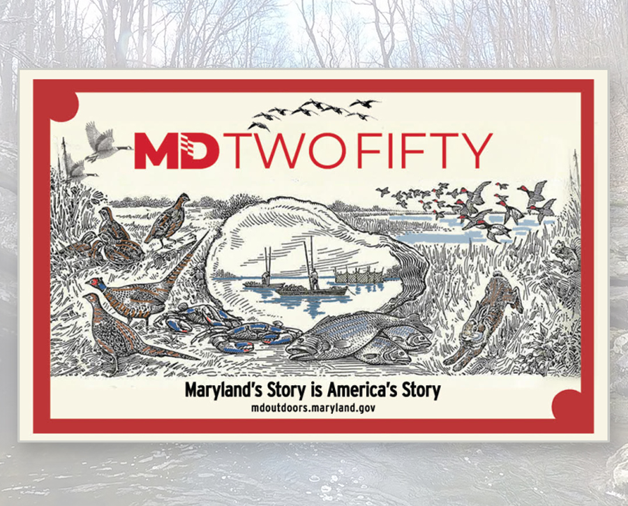 Maryland DNR Offers Special Edition MD250 Hard Card for Sale in Honor of America’s 250th Birthday
