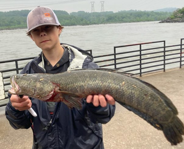 Harford County High School Student Named 20th FishMaryland Master Angler