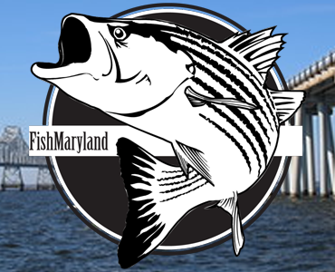 Maryland Adds Two New Master Anglers to Growing Recognition Program