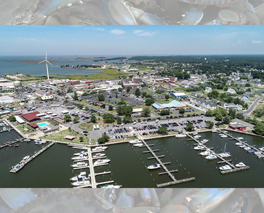 Somers Cove Marina Hosts National Hard Crab Derby, Boat Slips Available for Crisfield’s Labor Day Event