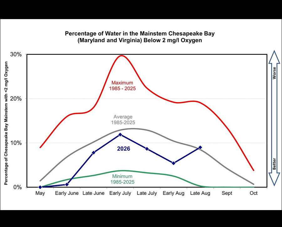 Chesapeake Bay Monitoring Found Below Average Hypoxia in Early August and Near Average in Late August