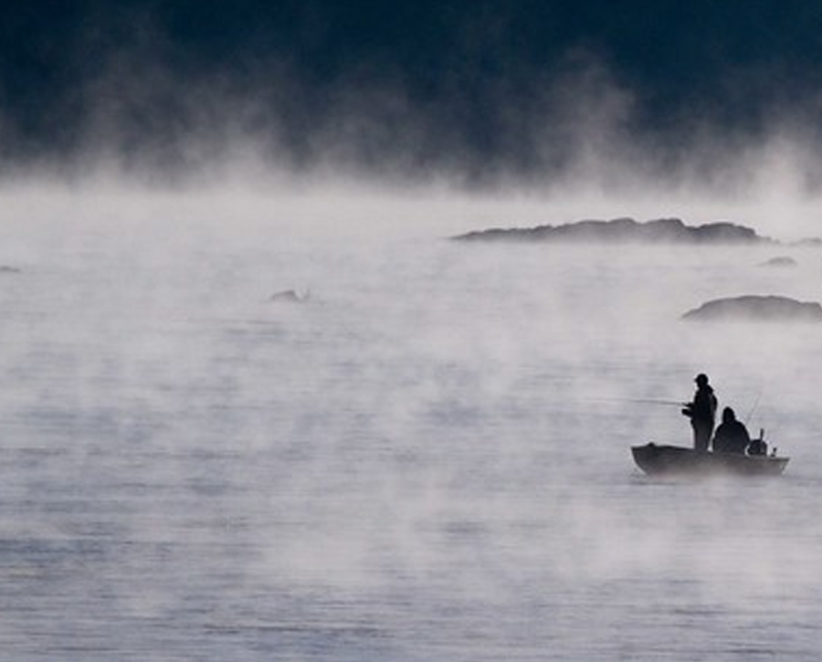 Your Digital Freshwater Tacklebox: Maryland DNR Offers Resources to Catch Trout, Bass, and More