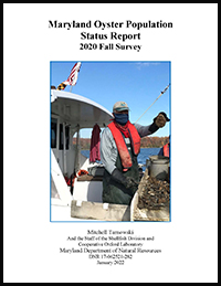 Fall Survey Report 2020