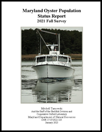 Fall Survey Report 2021