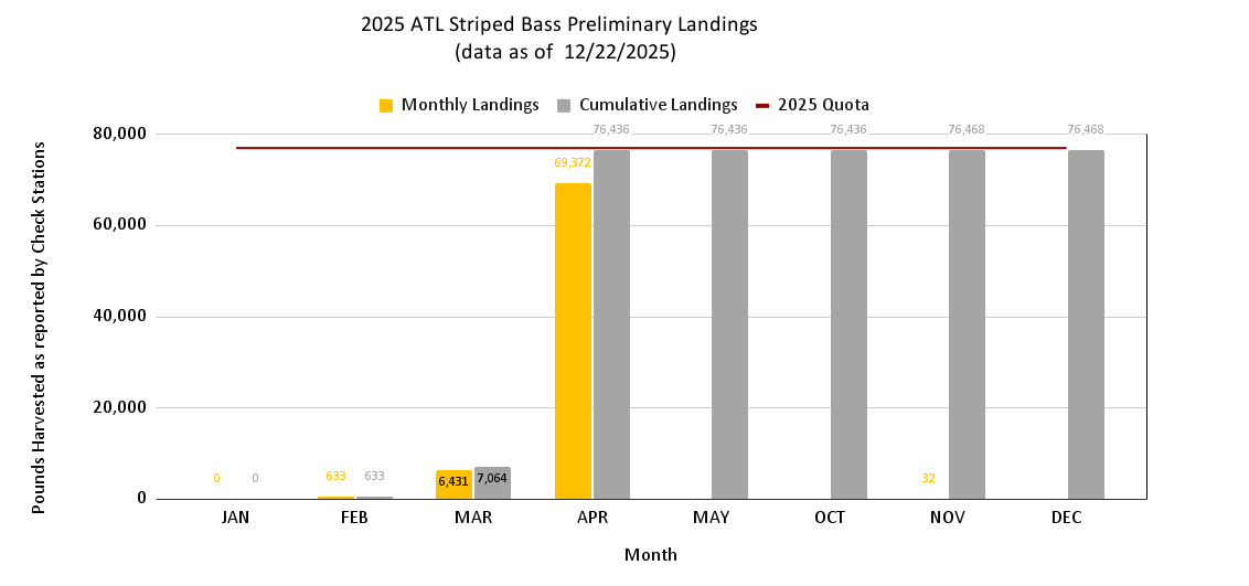 2025 Atlantic Striped Bass Preliminary Landings