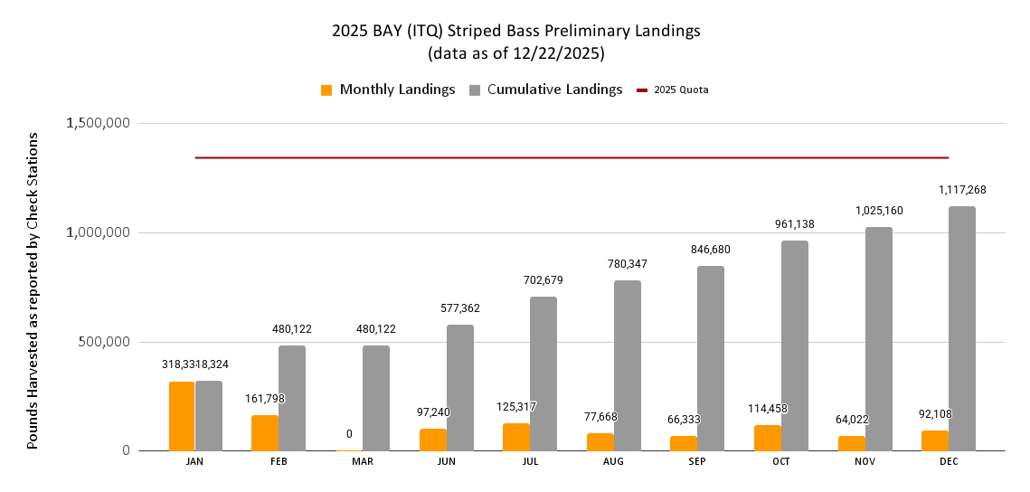 2025 Chesapeake Bay Striped Bass Preliminary Landings