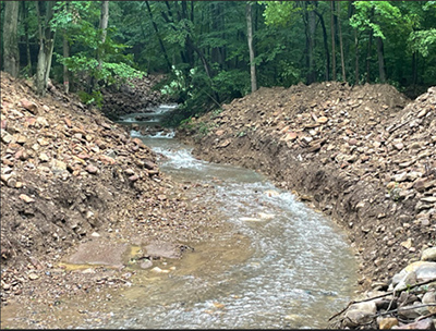 channelized brook trout stream