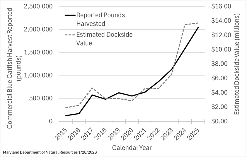 Commercail Blue Catfish Harvest Graph
