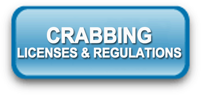 Crabbing Licenses Regs