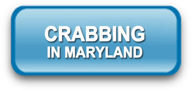 Crabbing In Maryland