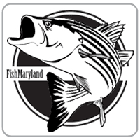 Maryland Fishing Challenge