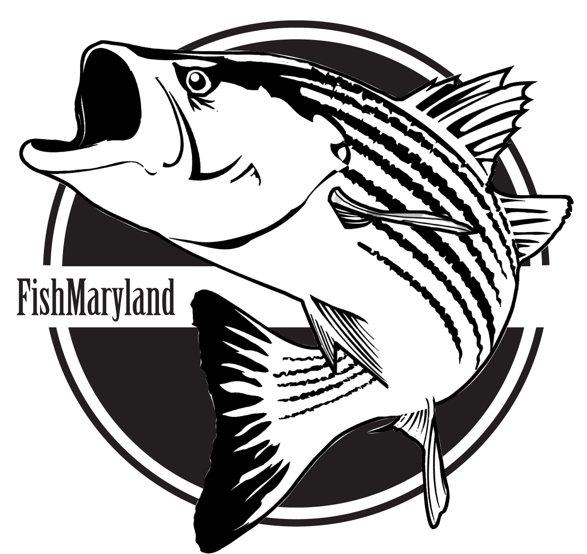 Register Your Catch for a FishMaryland Certificate