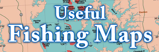 Fishing Maps Banner.jpg