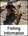 Flathead Catfish Fishing Tips