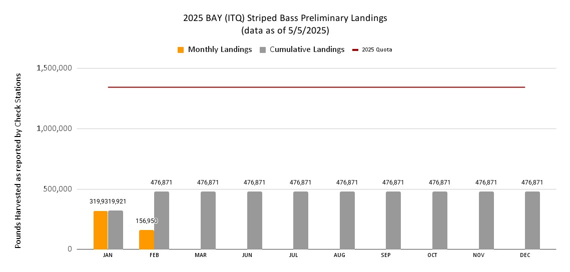 Chart of ITQ Striped Bass Landings