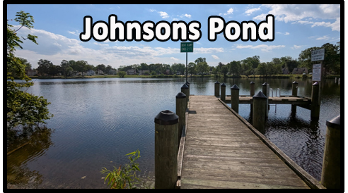Johnsons Pond
