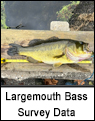 Bass Habitats
