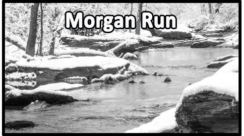 MorganRunButton.jpg