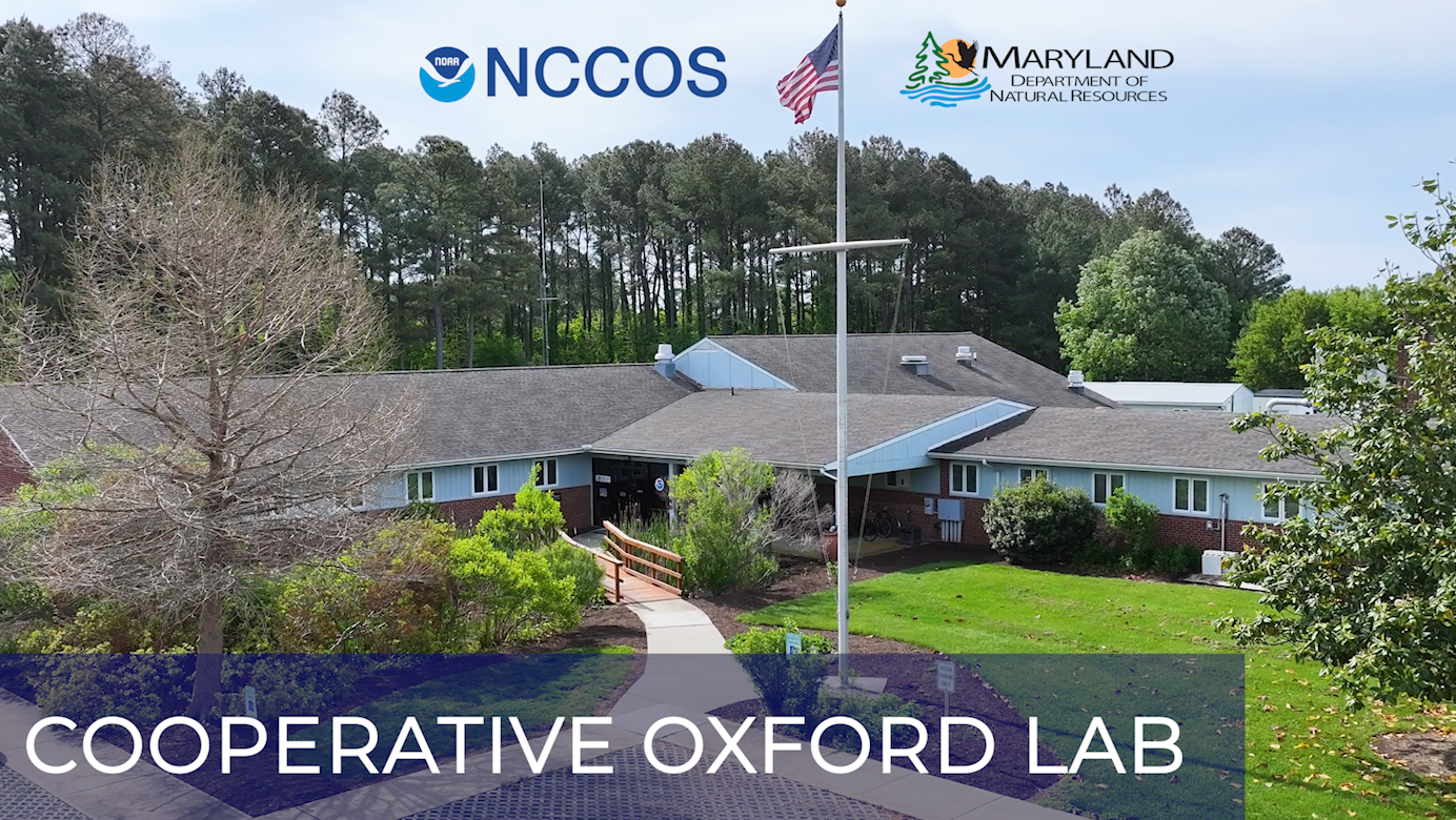 Cooperative Oxford Laboratory Building