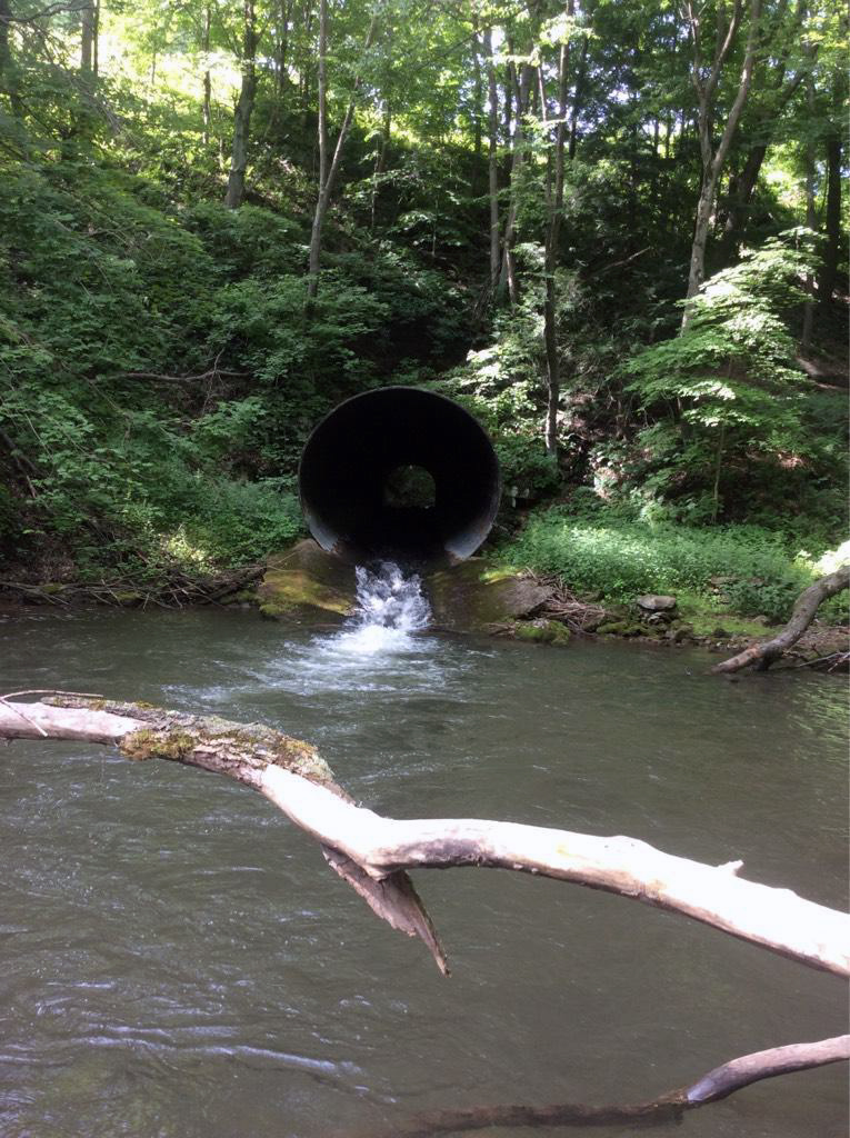 Perched culvert that limits passage in Folly Run