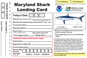 MD Shark Landing Card