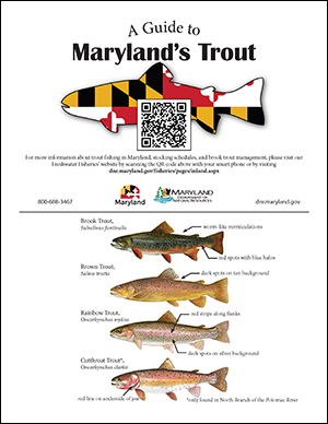Trout_ID_page.jpg