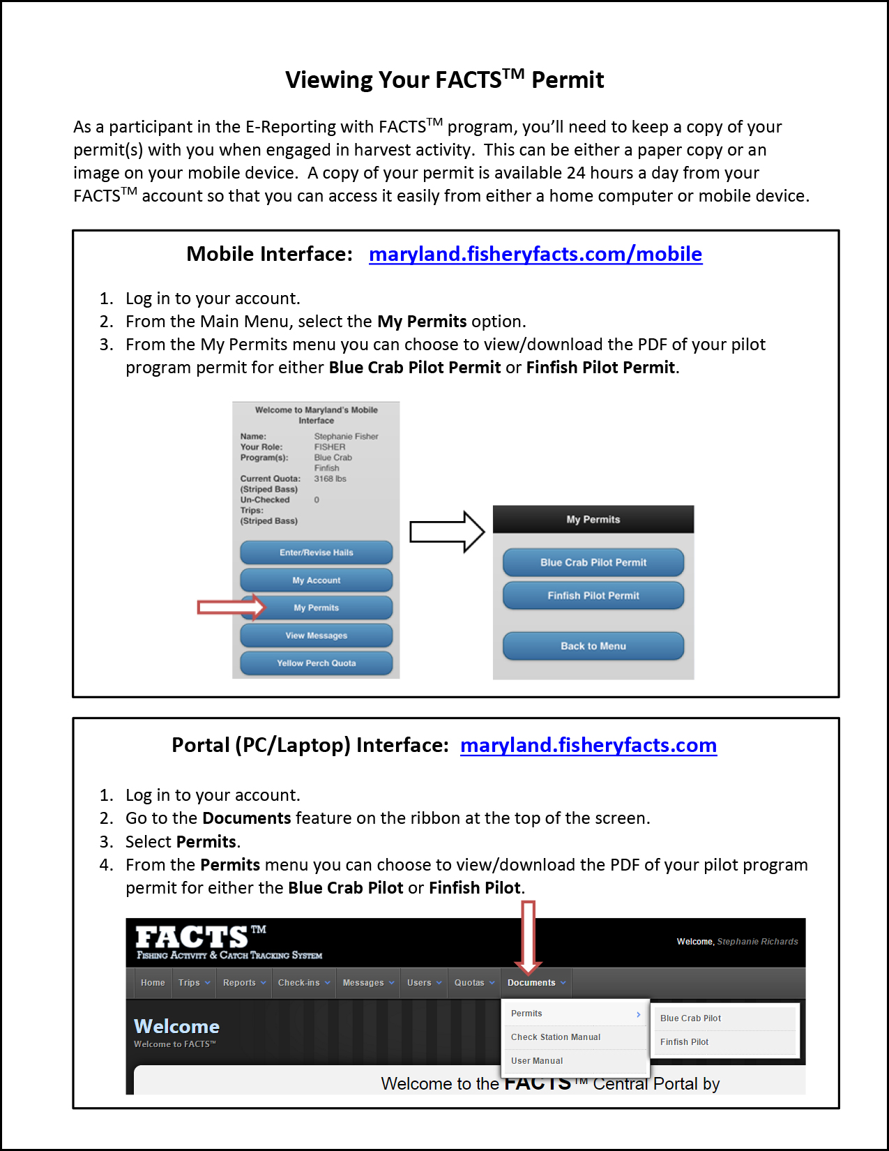 Viewing-PDF-of-Permit.jpg