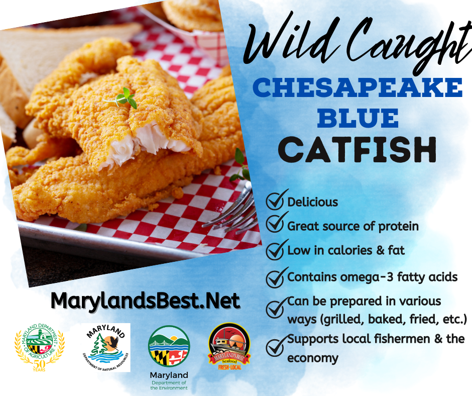 Eat blue catfish