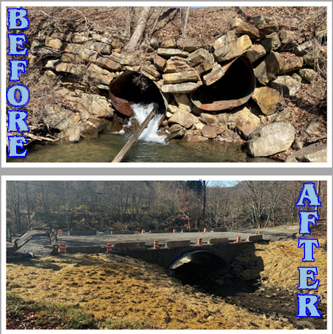 Wolf Den Run Project