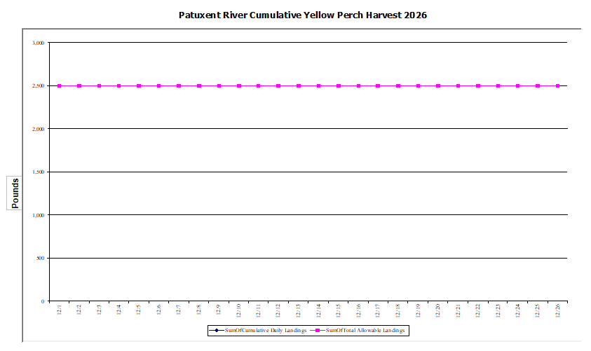 Commercial Patuxent River Yellow Perch Harvest