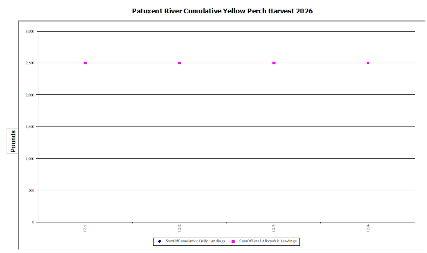 Commercial Patuxent River Yellow Perch Harvest