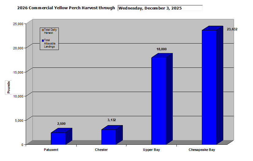 Commercial Yellow Perch Harvest