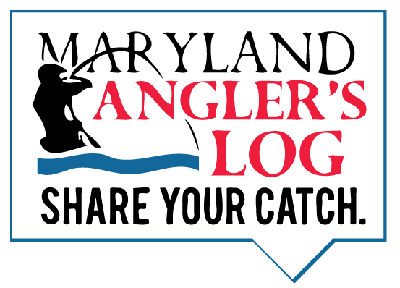 Anglers Log Logo