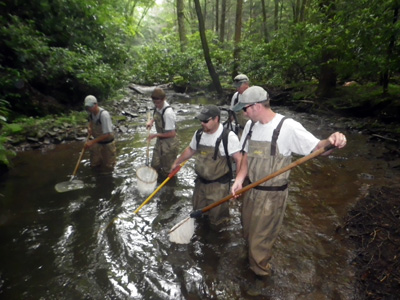 Western Region District 1 staff conduction wild trout population survey.