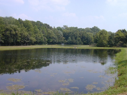 Unicorn Lake Hatchery