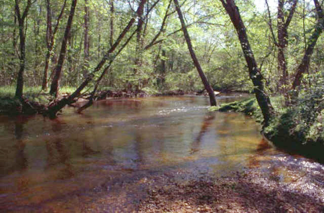 Nontidal segment of Mattawoman Creek