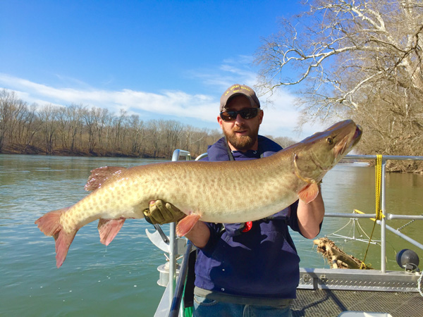 Fisheries biologist holding up a Muskie.