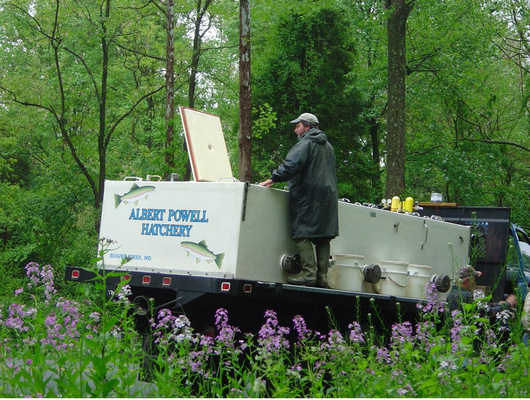 Stocking tank in teh back of a stocking truck