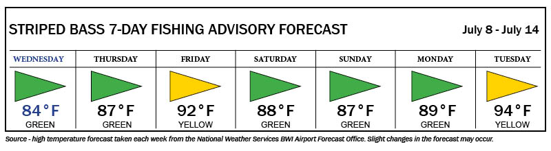 Striped Bass Fishing Advisory