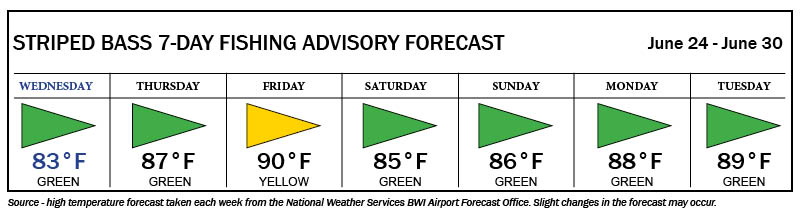 Color-coded striped bass fishing advisory showing green flags every day except a yellow flag on Friday
