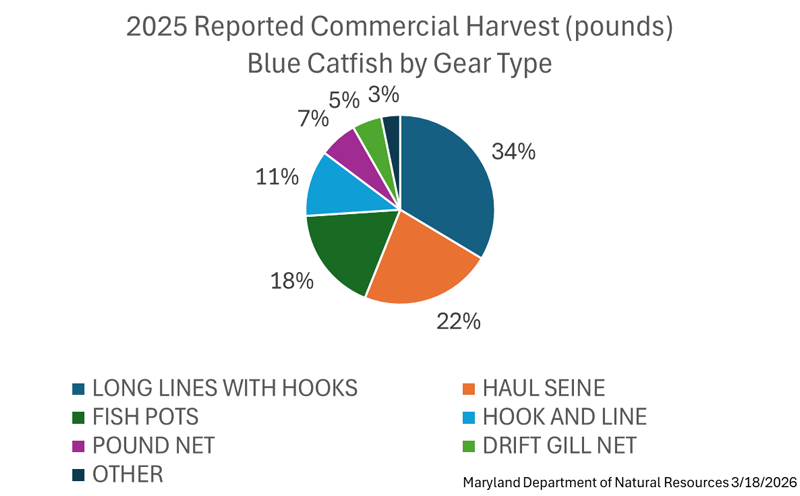 blue catfish harvest by gear type