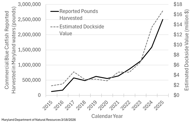 Blue catfish harvest graph
