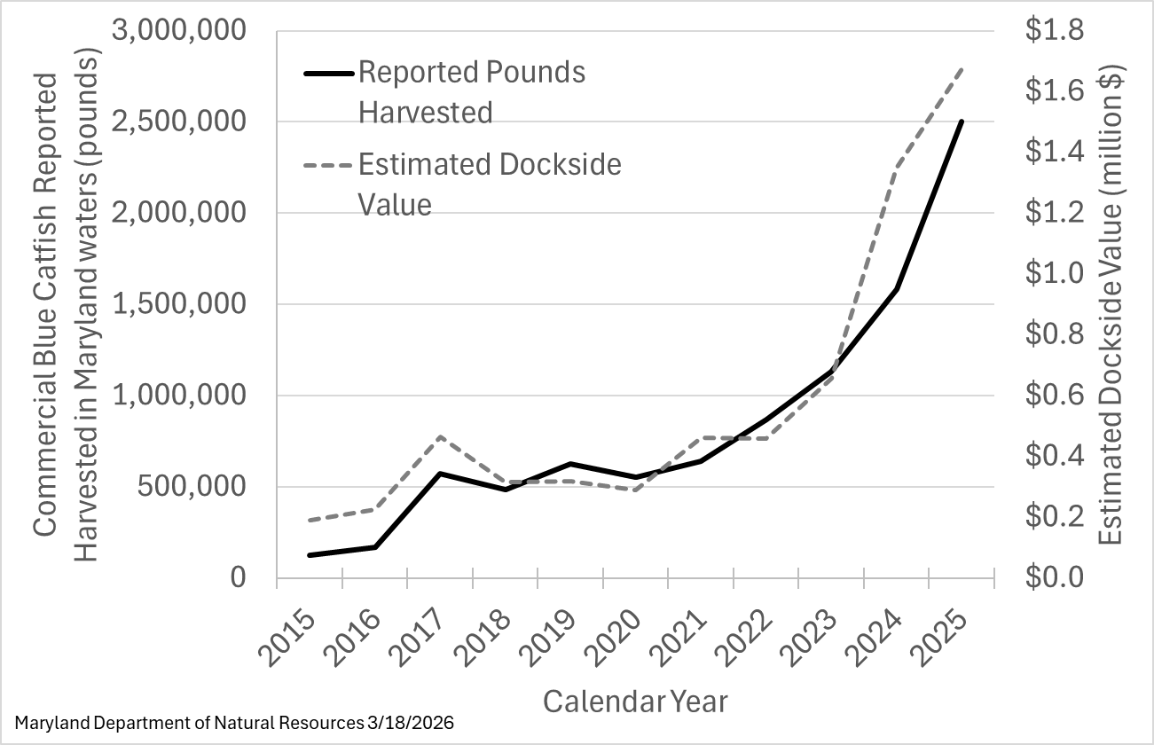 Blue catfish harvest graph