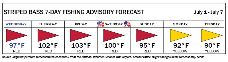 Color-coded striped bass fishing advisory showing green flags every day except a yellow flag on Friday