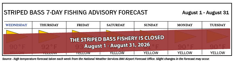Striped Bass Fishing Advisory