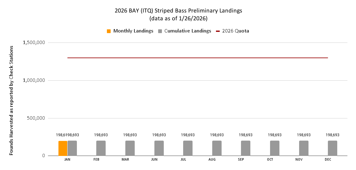 2026 Chesapeake Bay Striped Bass Preliminary Landings