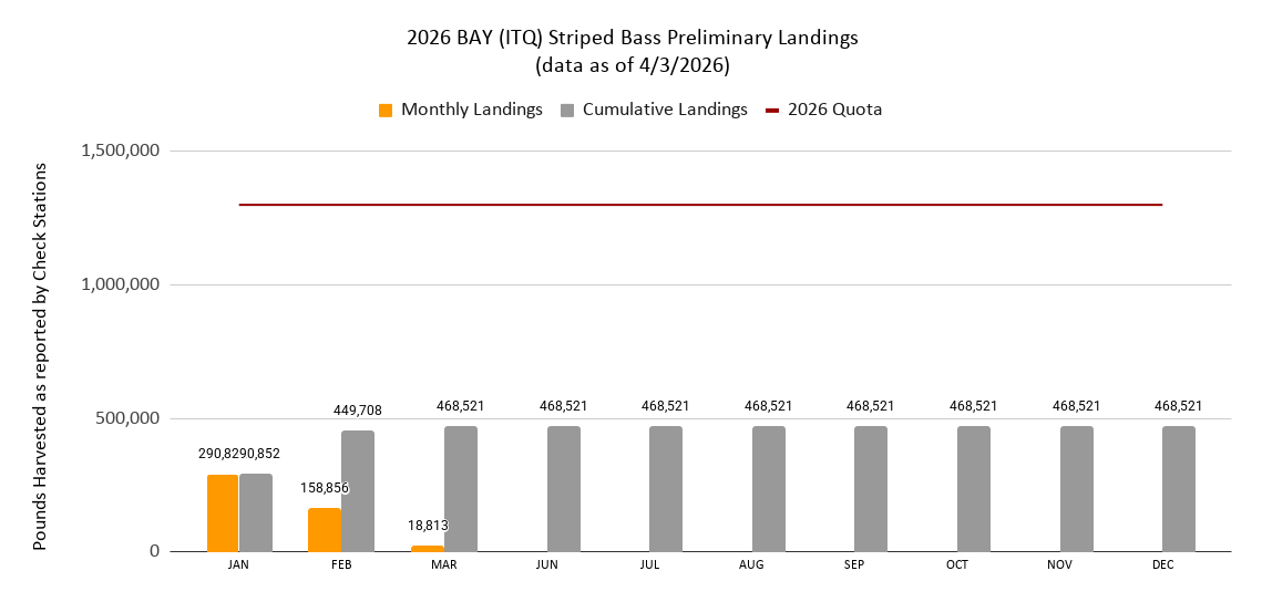 2026 Chesapeake Bay Striped Bass Preliminary Landings